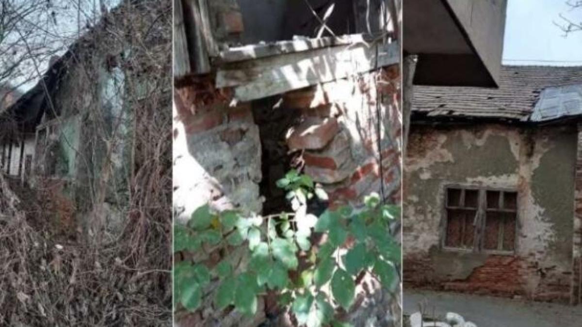 cinematograf-zlatna_56243300