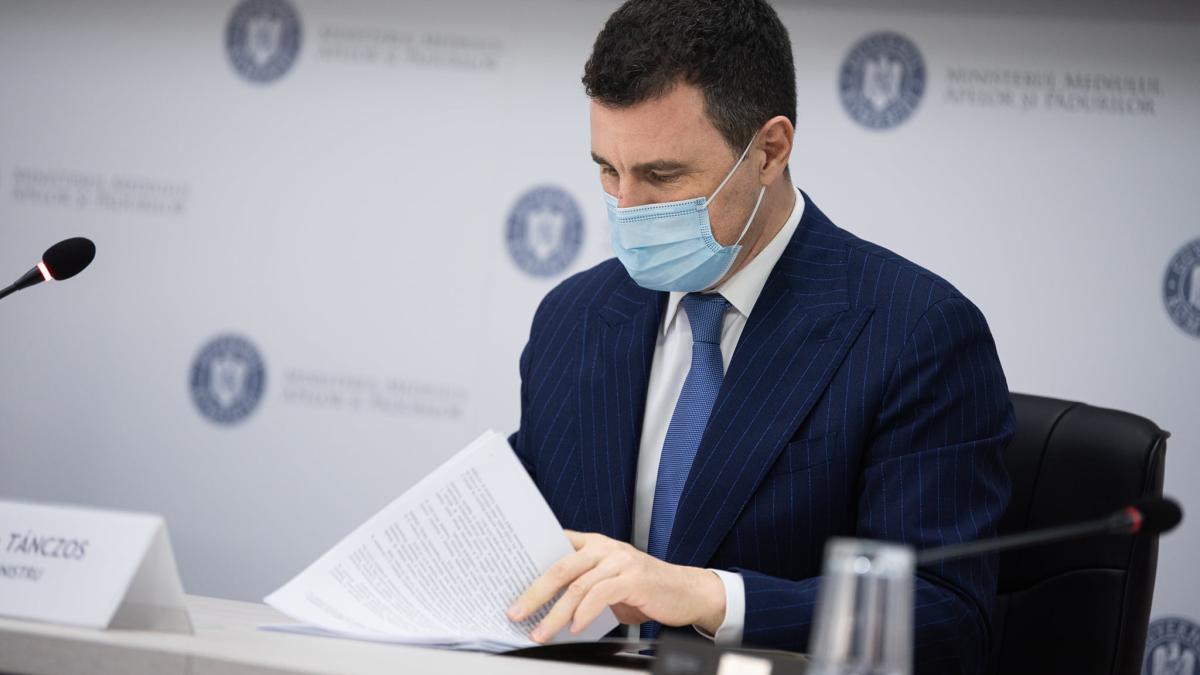 tanczos-barna-fose-septice_16763400