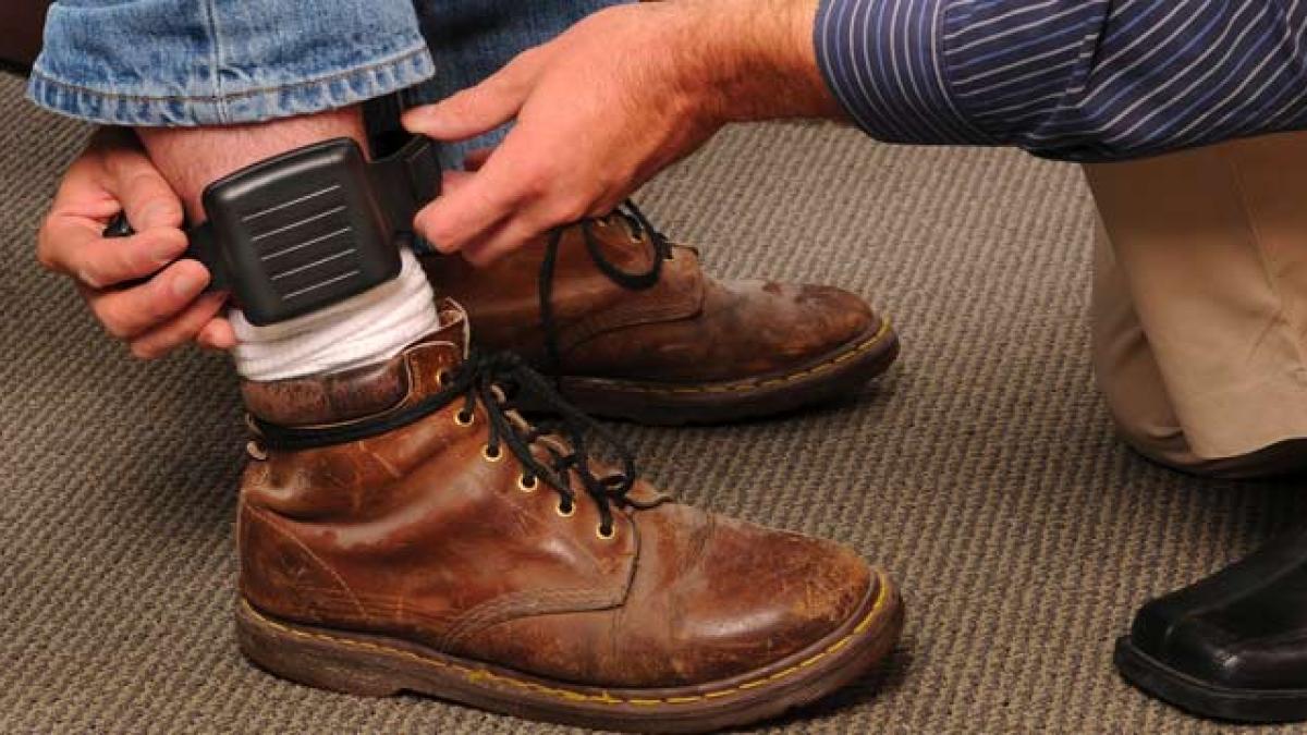 sistem-monitorizare-anglia_23303200