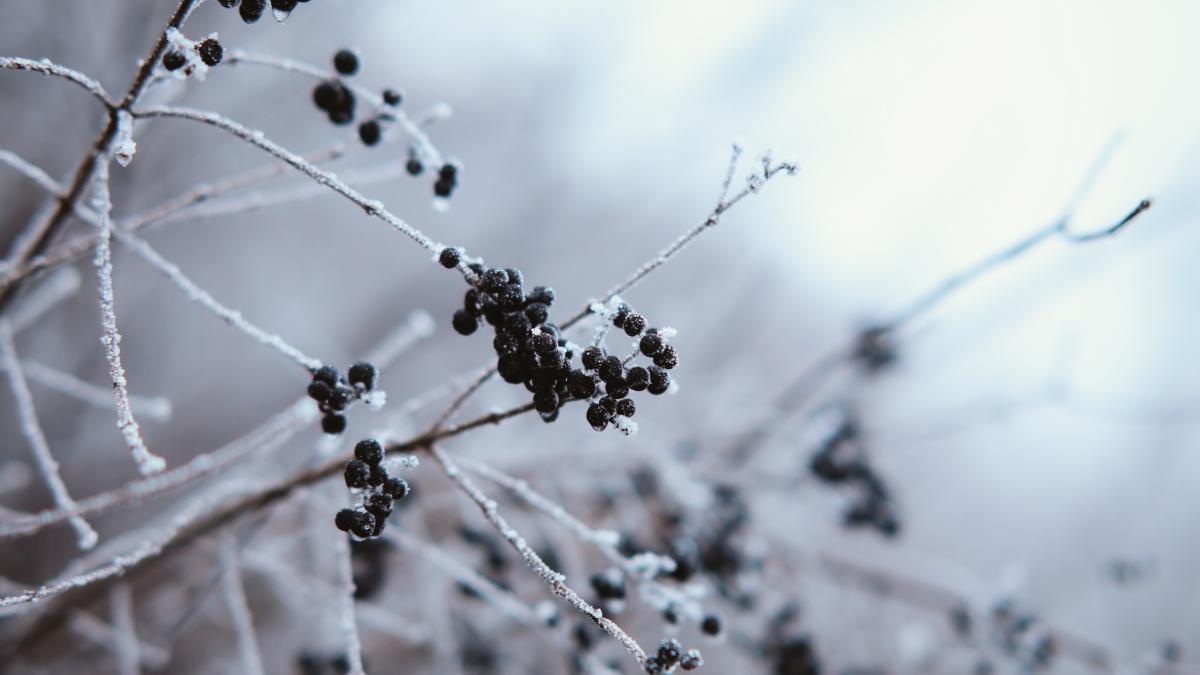 vreme_frig_elena_mateescu_pxl_86562800