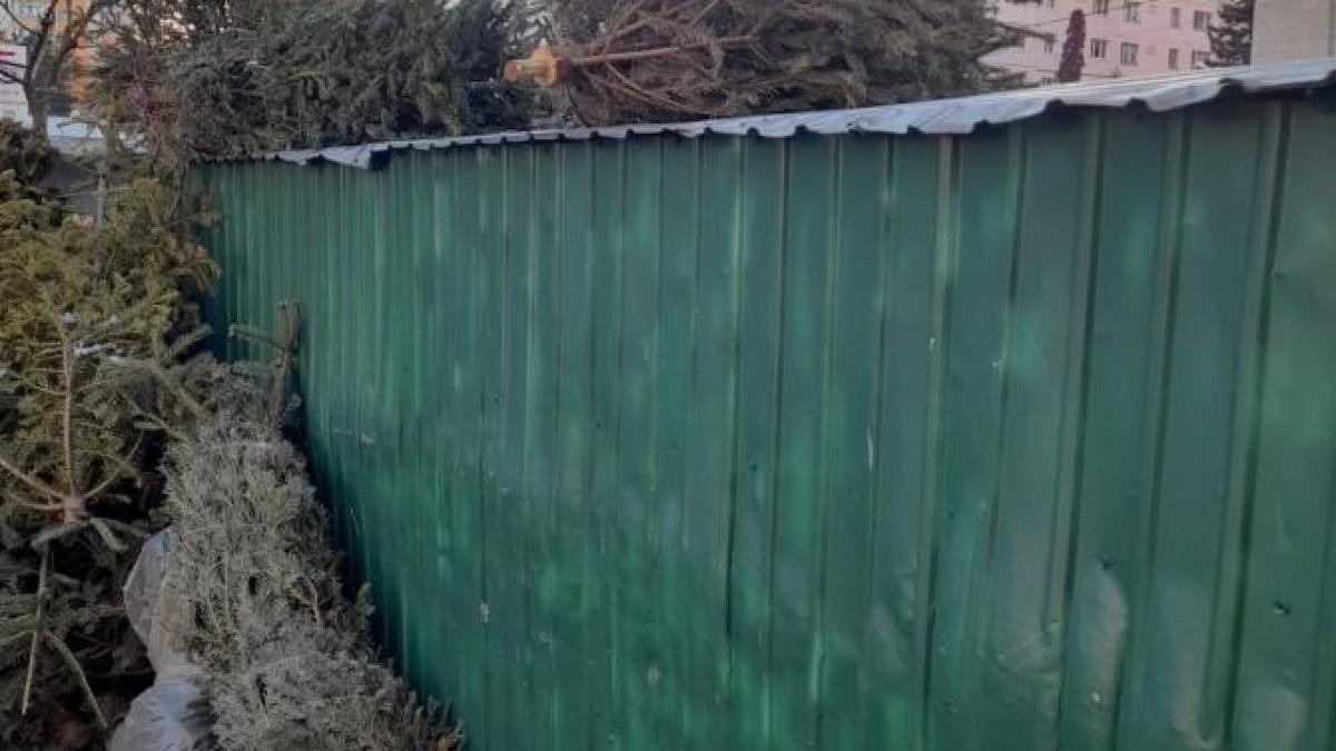 whatsapp-image-2022-01-13-at-09-51-34_24941700