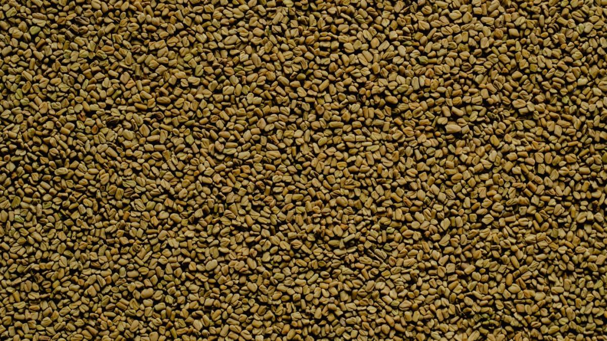 semintele-de-schinduf_72539000