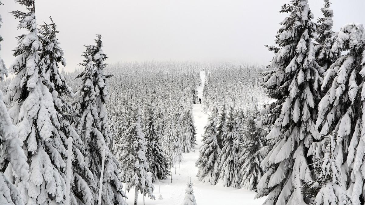 iarna-ca-altadata--cele-mai-frumoase-imagini---galerie-foto-2_88119000