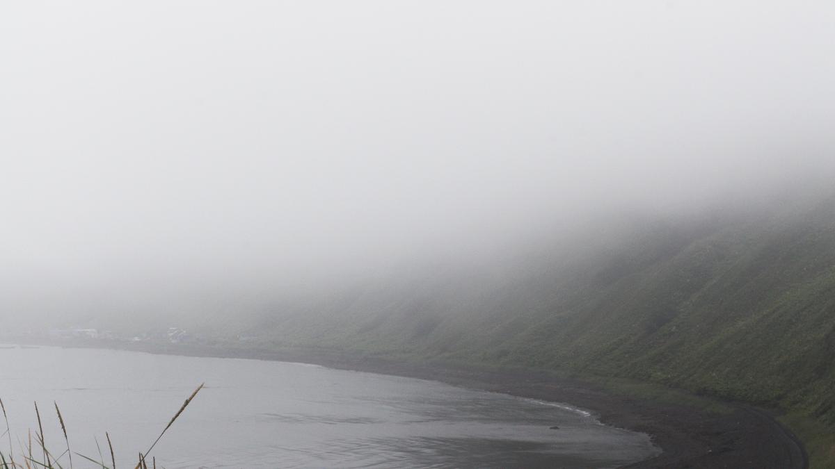 ceata_pexels_82425900