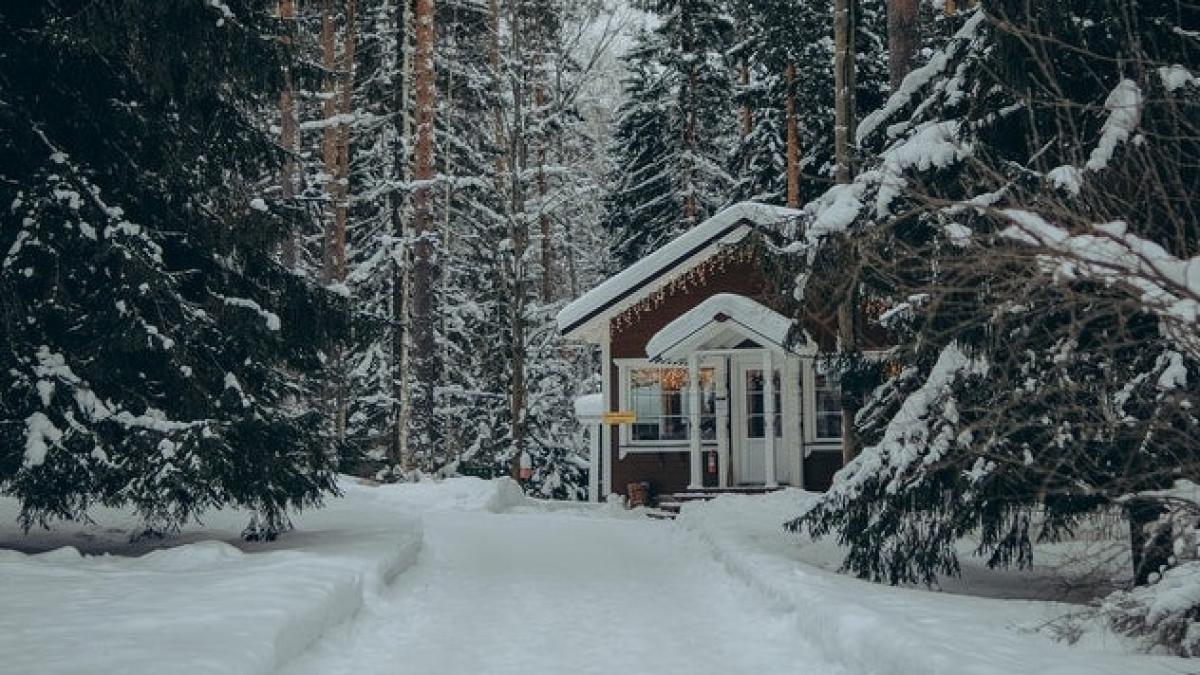 cum-sa-traiesti-off-grid-in-romania_55271900