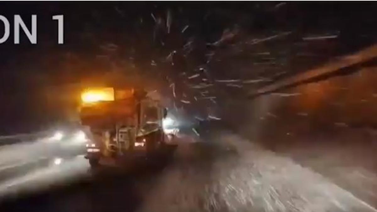 deszapezire-dn1_09678700