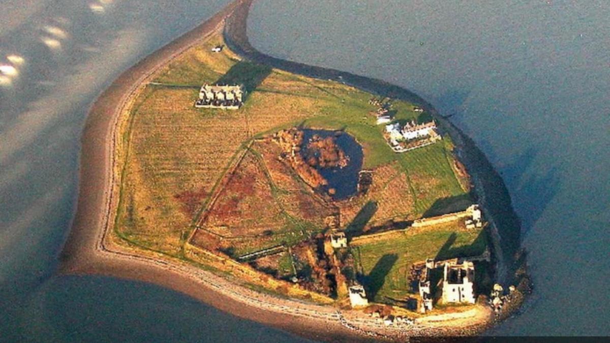 insula-piel-monarh_86556000