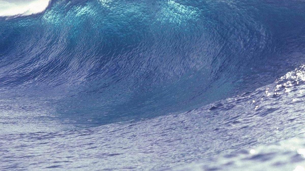 barbat-tsunami-inot_04759000