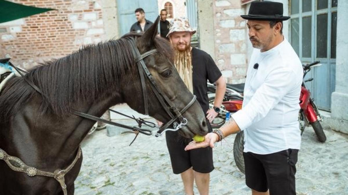 chef-bontea---animalele---chefi-fara-limite-3_06560100