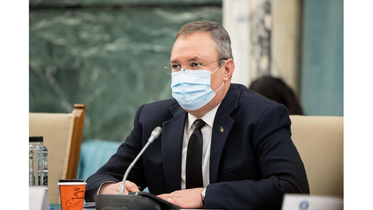 nicolae-ciuca-plagiat_94287900