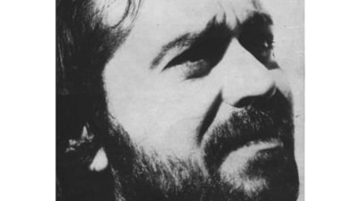 a-murit-corneliu-bibi-ionescu-sfinx_41730300