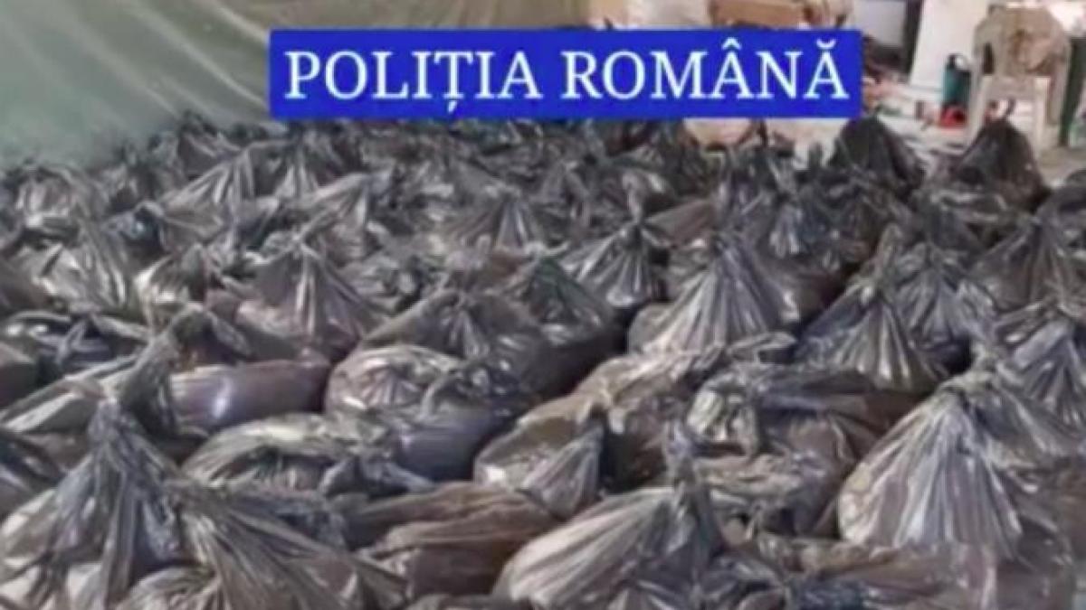 tone_tutun_confiscate_35928800