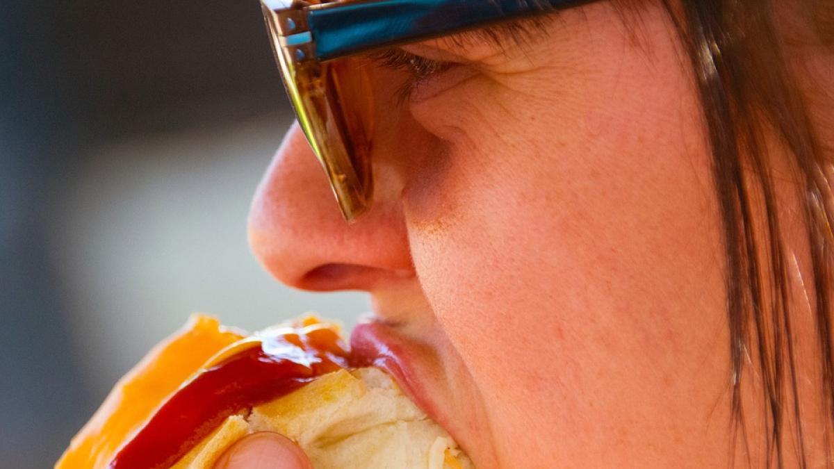 pericol-hotdog-infocons_32973700