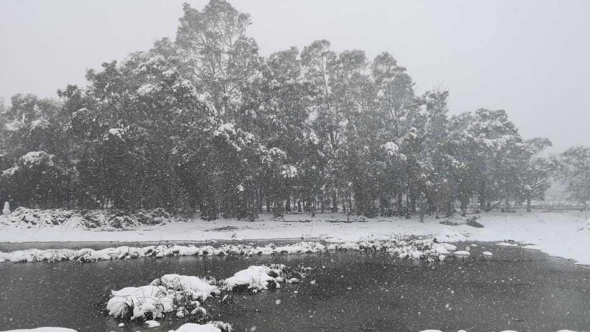 vremea-si-razboiul-ancuta-manea_84510600