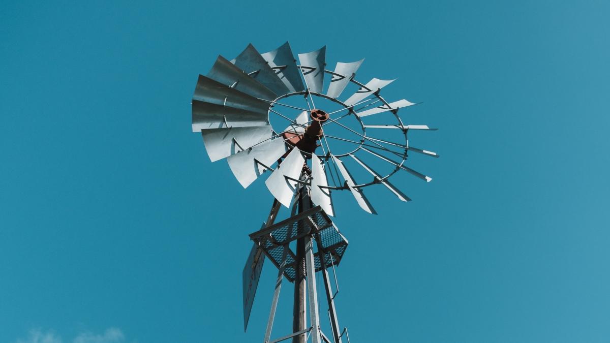 pexels-airam-datoon-8445732_00987800