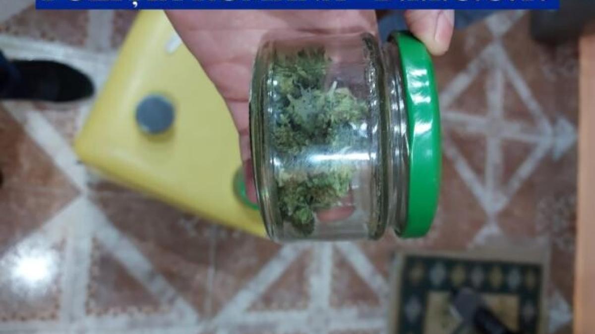 cannabis_mehedinti1_62028600