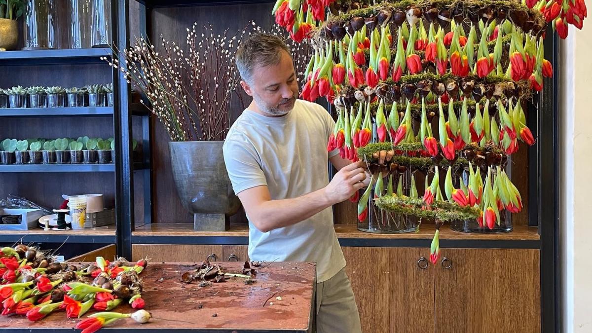 nicu-bocancea-3_57669000