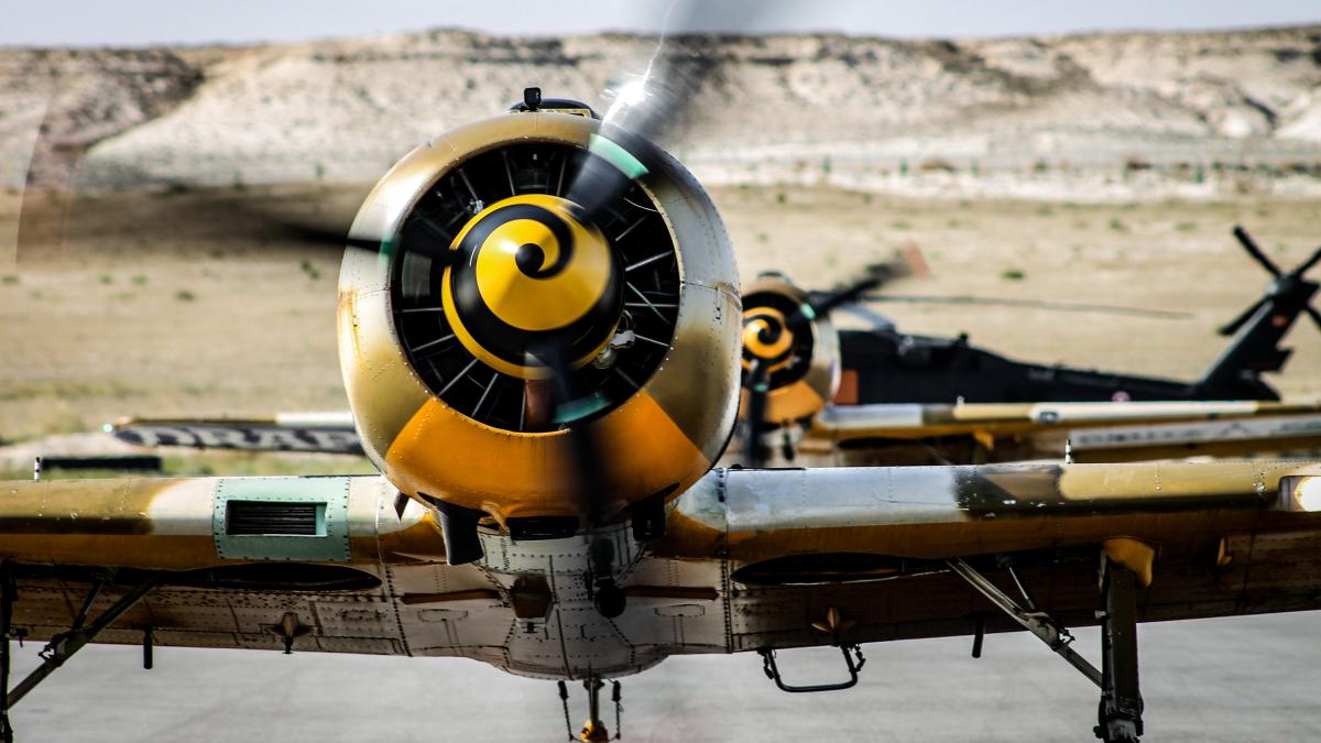 aeroclub_ianca_guvern_pxl_04899700