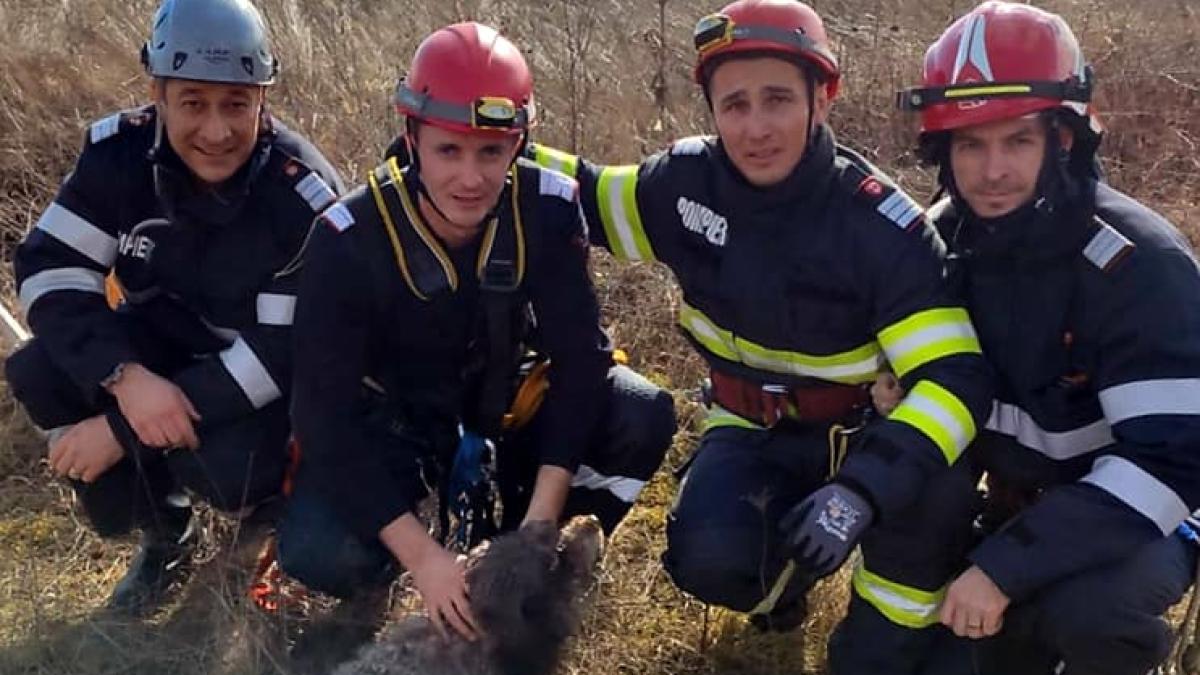 isu-hunedoara-catelusa_37358900