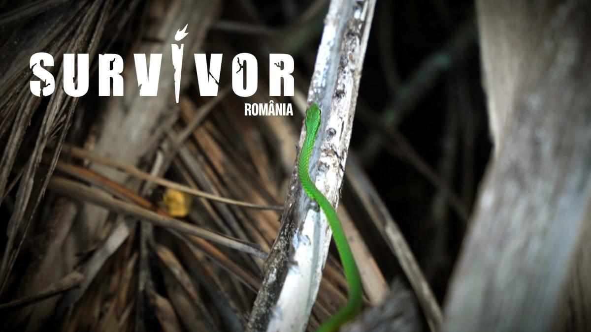 pro-tv-ia-survivor-de-la-kanal-d-cu-tot-cu-prezentator-premiera-in-tv--anuntul-momentului-3_88655100