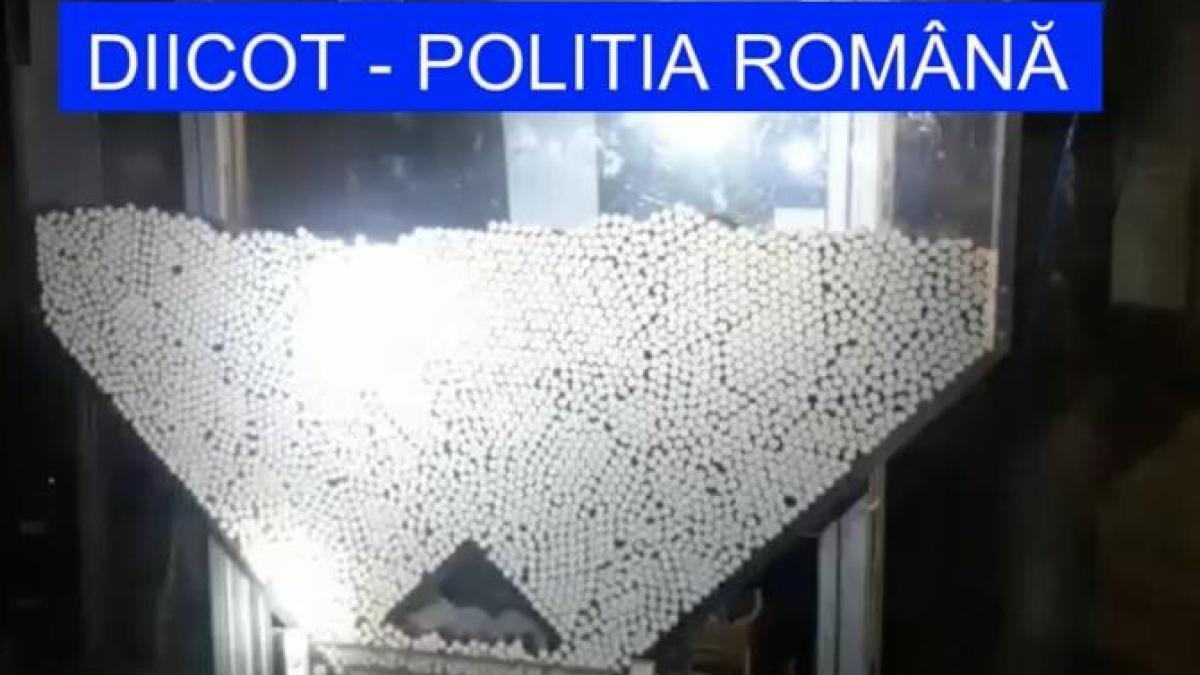 tigari-contrabanda-diicot_47685200