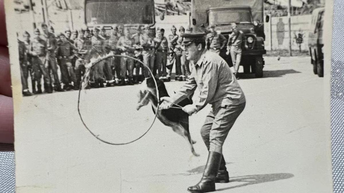 271529181_1890726604454846_7845209231410137657_n_52737700