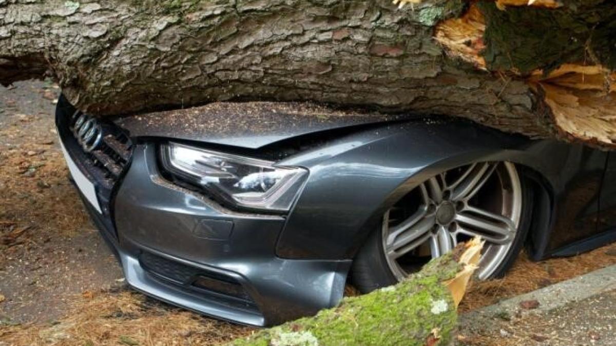 accident_circulatie_foto_pexels_67055200