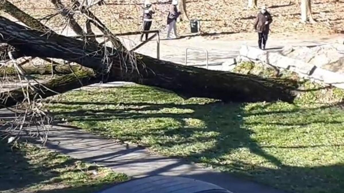 captura_video_furtuna_milano_fb_78569600