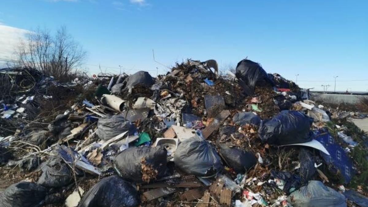 sectorul-1--bucuresti-4_28132700