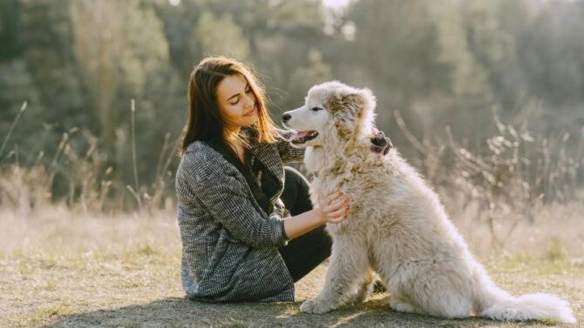 caine-credincios_35602000