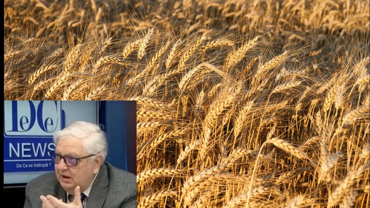 cosea-cereale_71552600