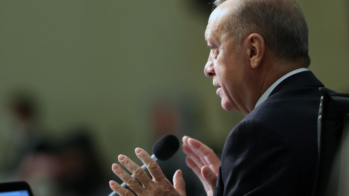 erdogan-a-fost-testat-negativ_60877400