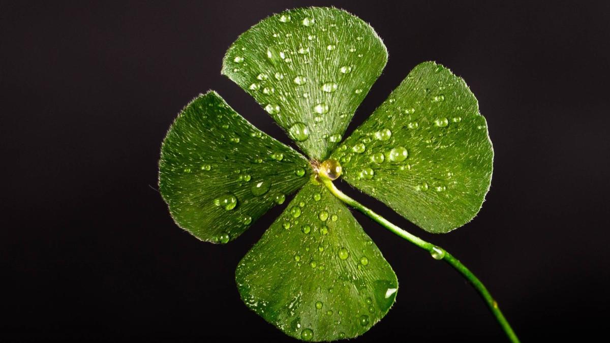 zile-norocoase-2022-zodii-voropchievici_88224100