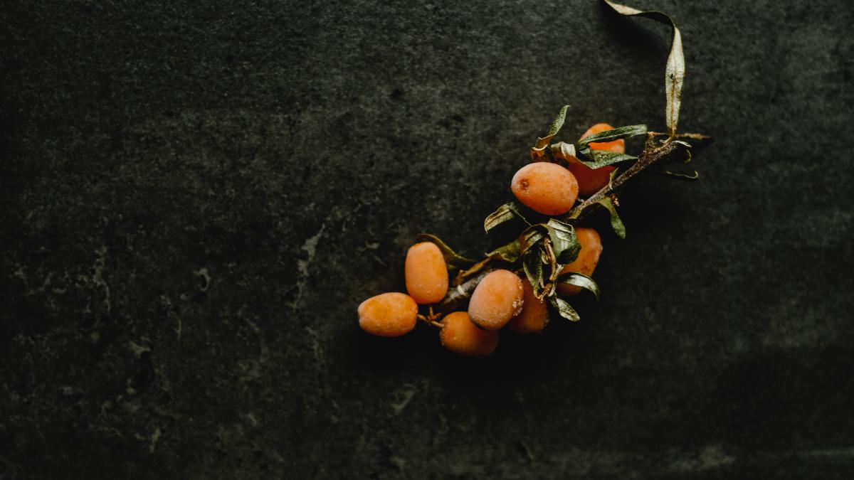 sirop-de-catina_08028300