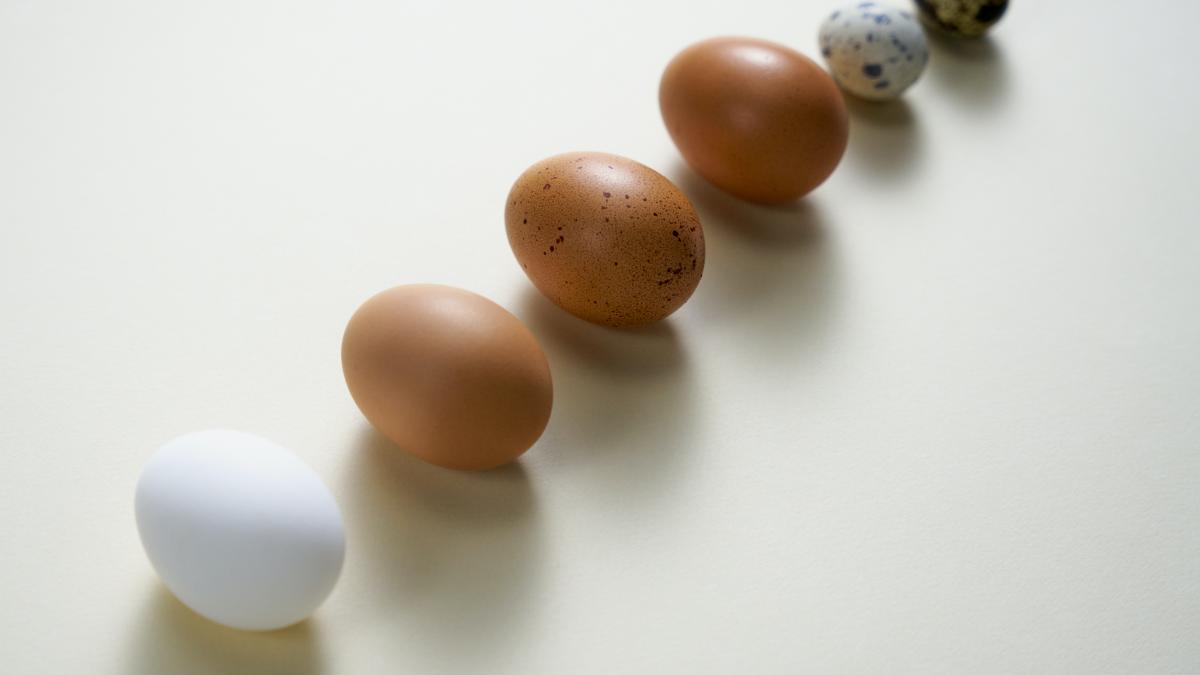 cartea-recordurilor-turn-din-4-oua_52458800