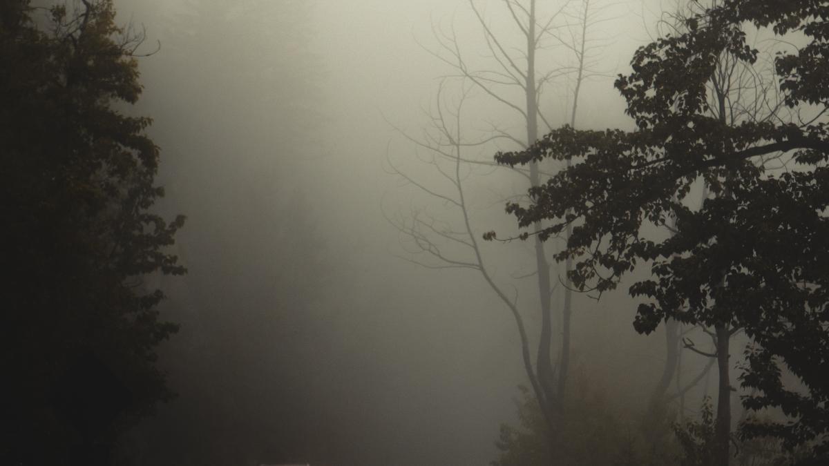 soferi_revolutie_faruri_stinse_pxl_03557000