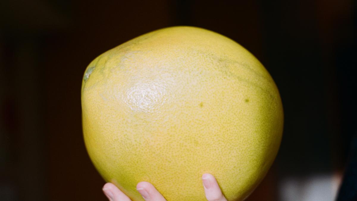 pomelo_pericol_bebelusi_pxl_21157200