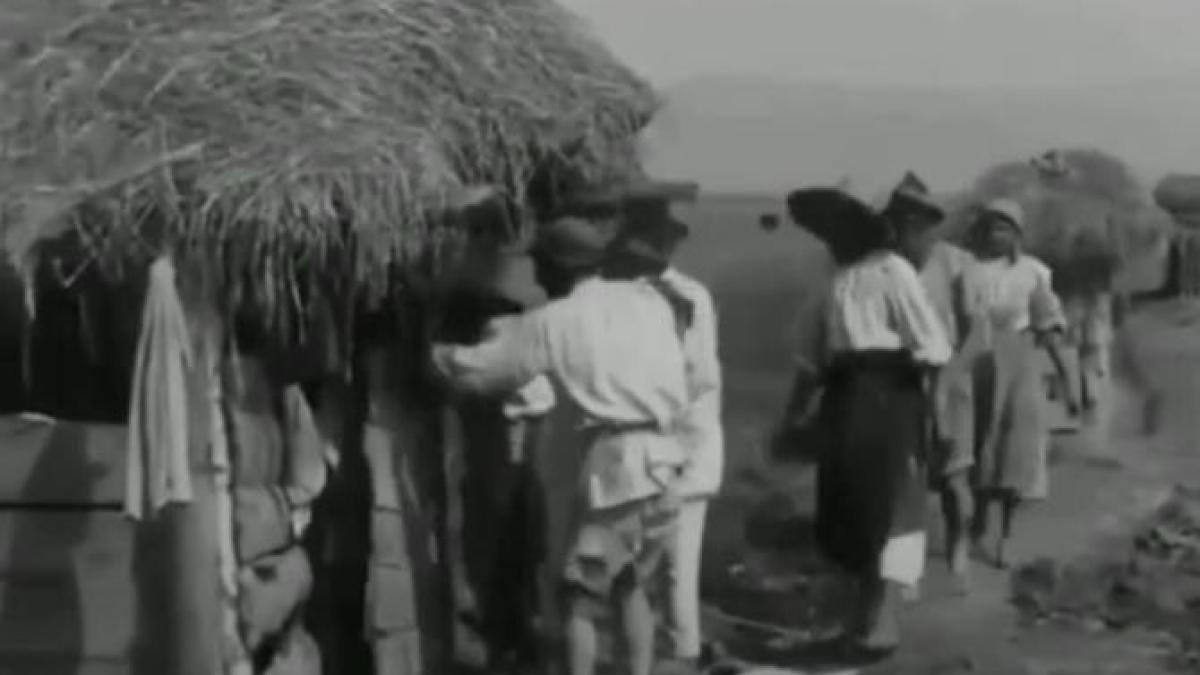 viata-sat-romania_50201600