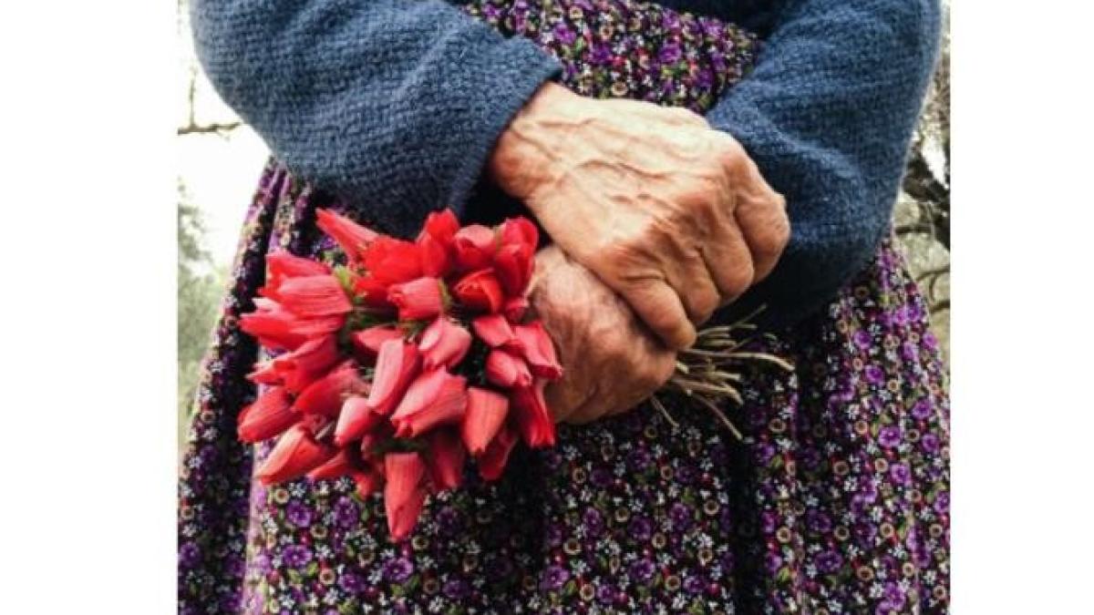 femeie_in_varsta_foto_pexels_01681600