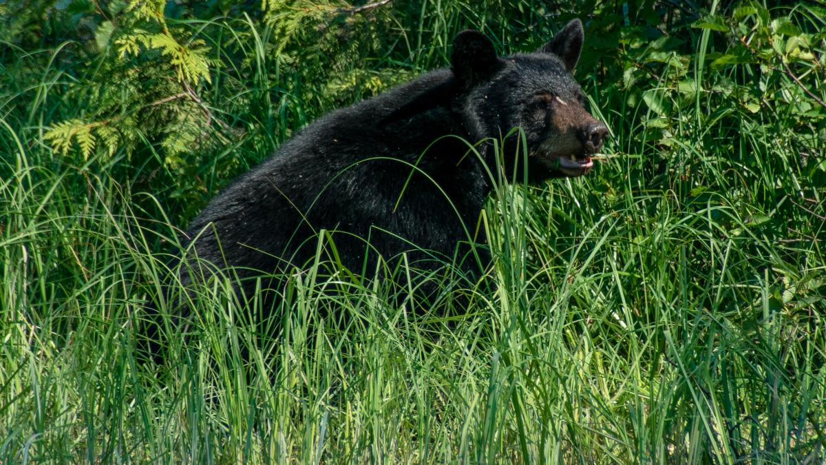 pexels-enric-cruz-loprc-ccprc-81pez-6272205_23543500
