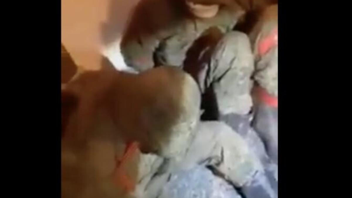 militari-rusi-interogatoriu_93048900