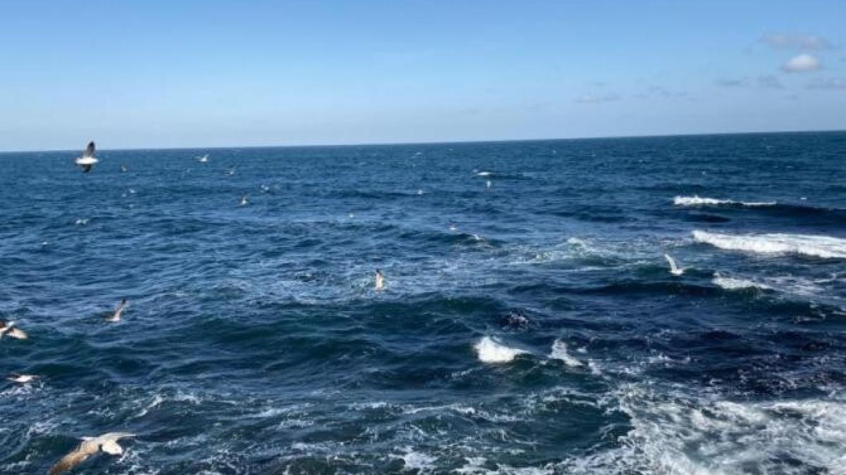 mare_foto_dcnews_54820400