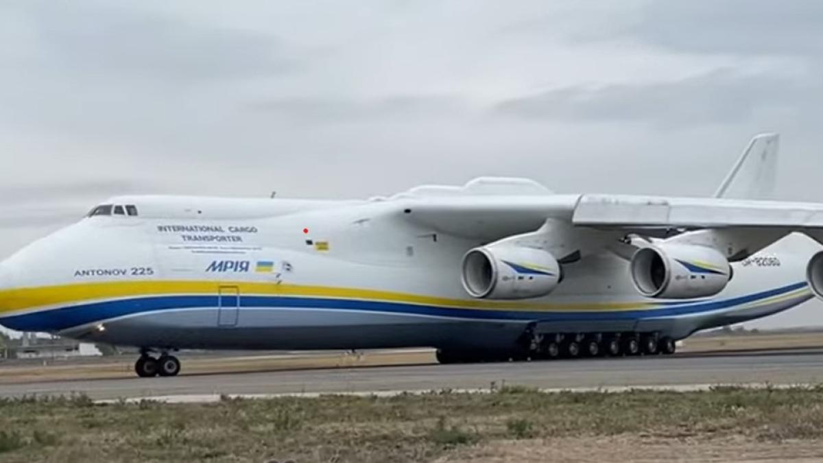 antonov_80158300