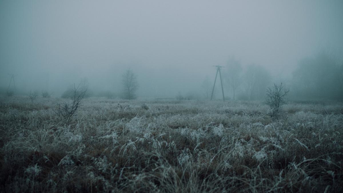 vremea-28-februarie---13-martie--prognoza-meteo-pentru-urmatoarele-doua-saptamani_93348000