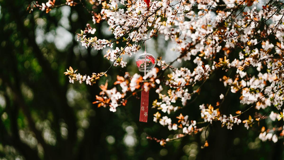 horoscop-martie-2022--la-ce-sa-se-astepte-fiecare-zodie--in-perioada-urmatoare--multe-schimbari_40518900