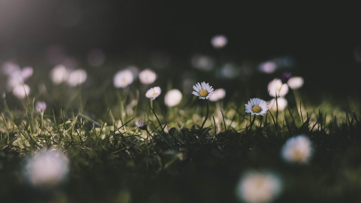 romania_vreme_anm_pxl_03284300