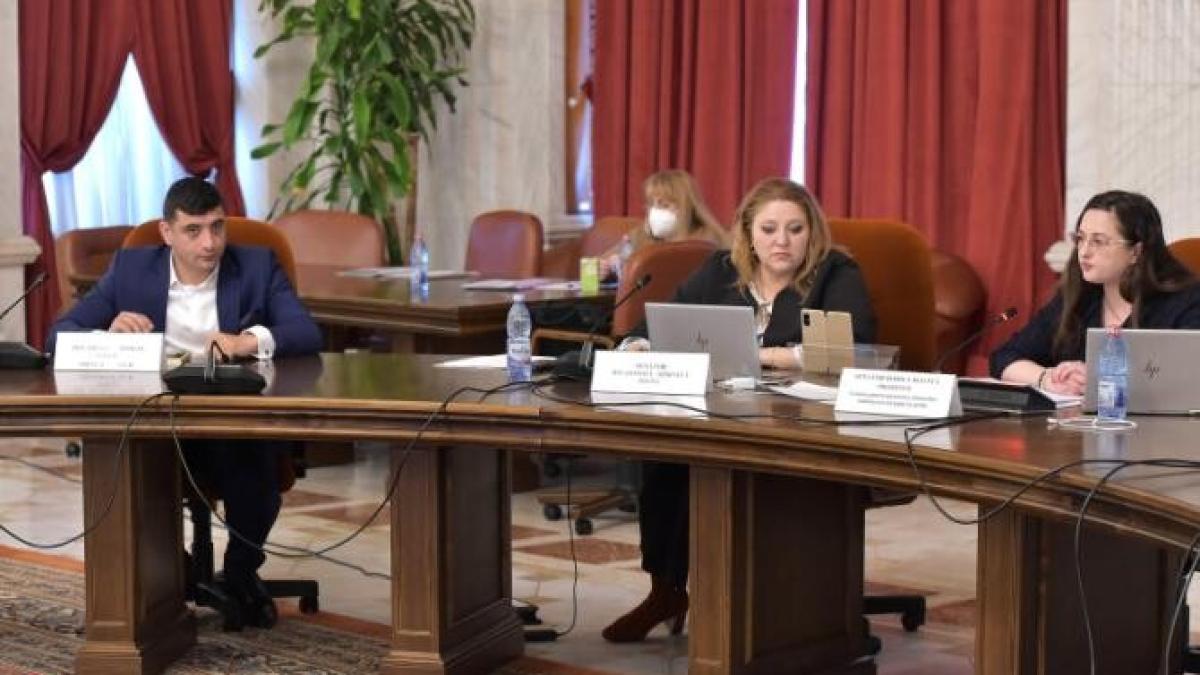 diana-sosoaca_20896100