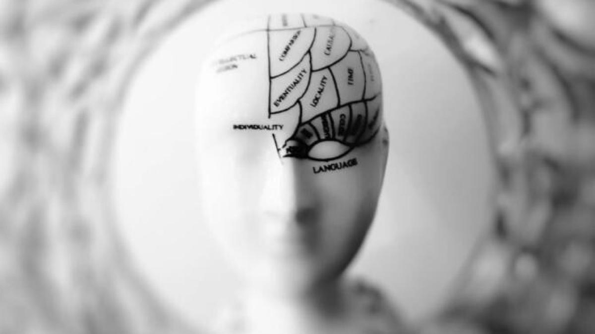 creier_foto_pexels_60176300