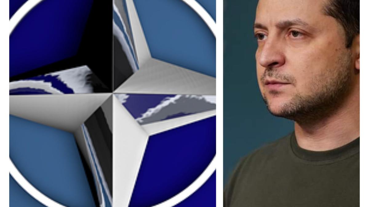 nato-zelensky-bogdan-chirieac_90890800