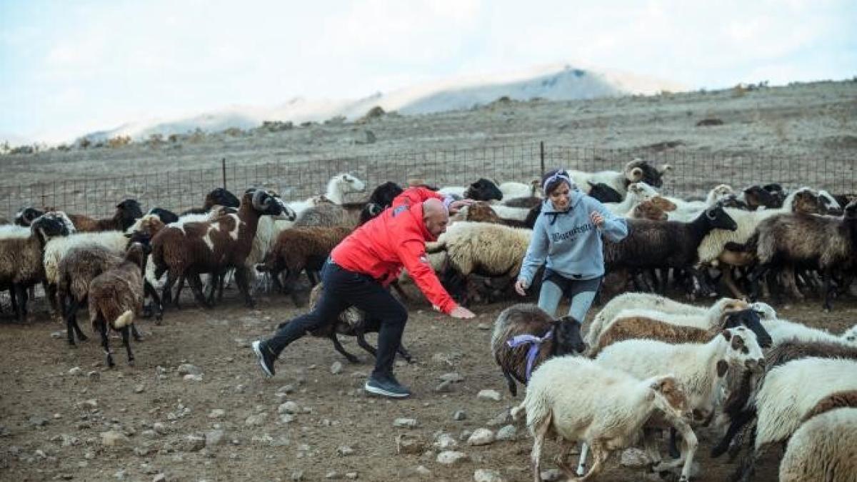 chefi-fara-limite_stage-3_1_97979300